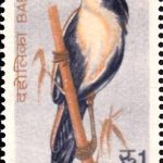 Nepal Rashtriya Yuva Mahotsav 1968