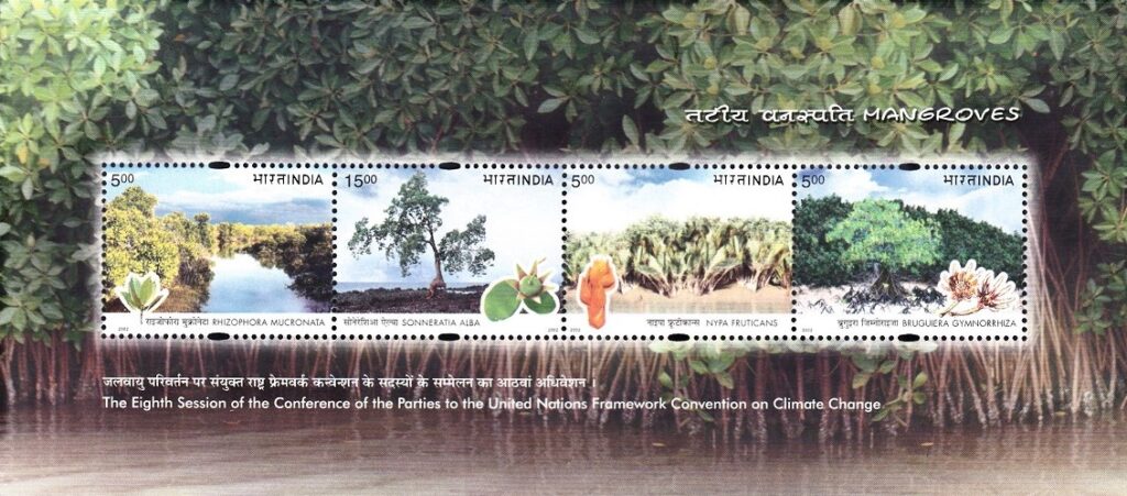 Mangroves of India