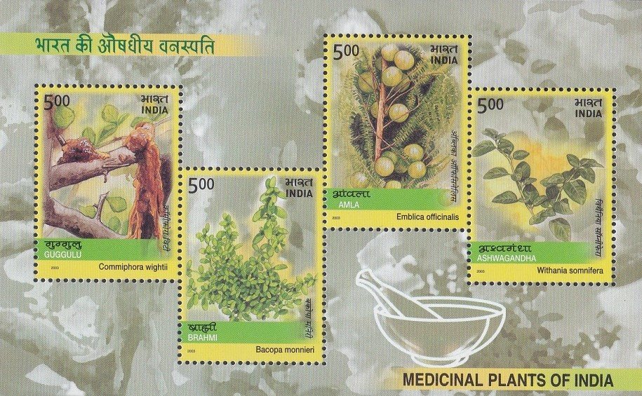 Indian Ayurveda Medicines