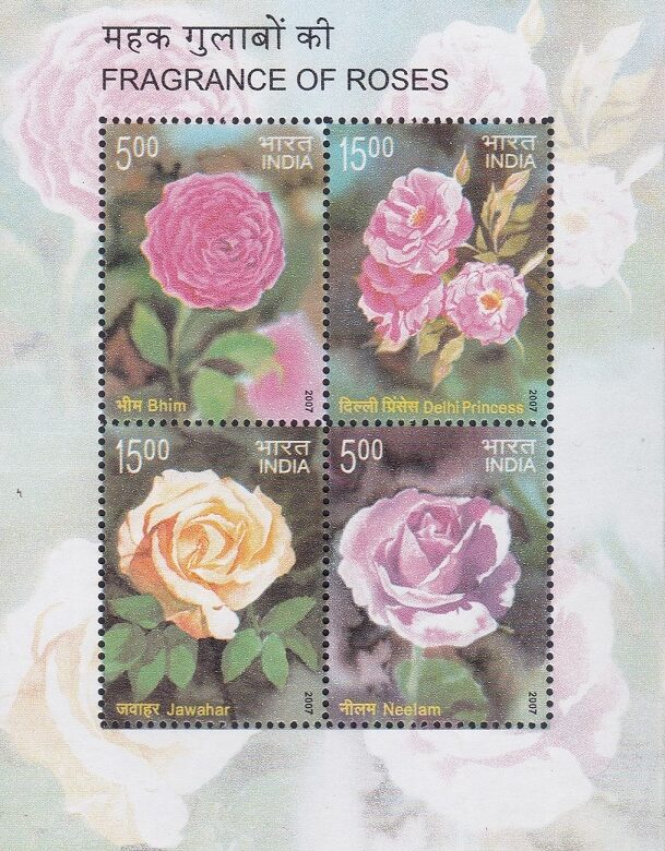 Fragrance of Roses