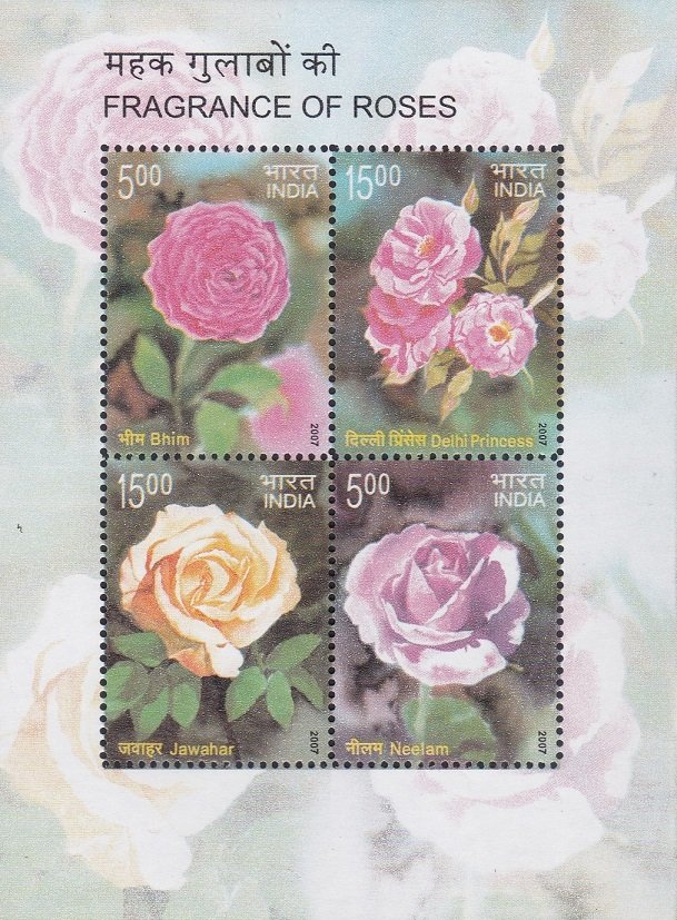 Fragrance of Roses