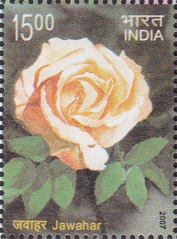 Indian Department of Crops and Agriculture