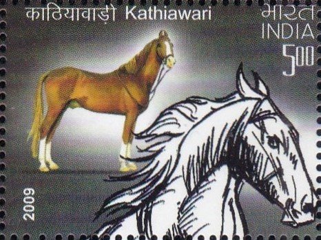 Kathiawadi