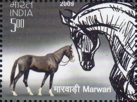 Malani
