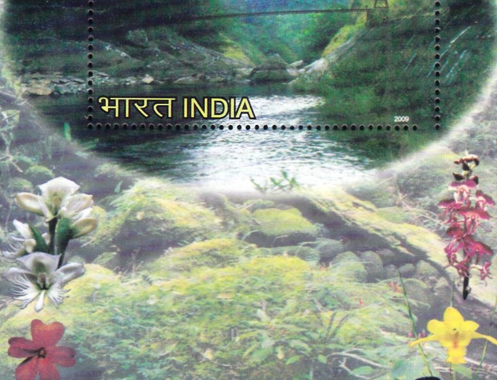 The Silent Valley