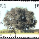 Festival of USSR in India