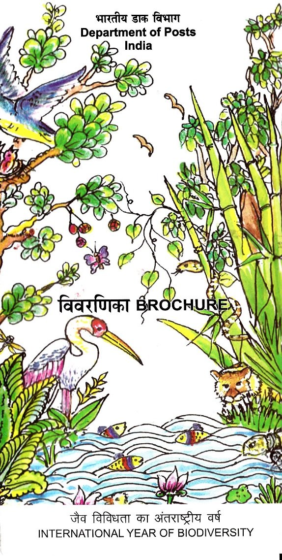 Biodiversity is love. Biodiversity is life