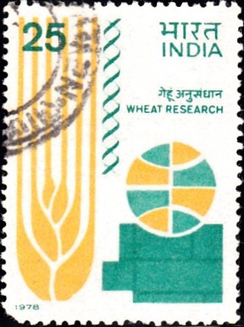 Wheat Research