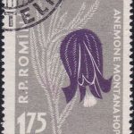 USSR on Ice Hockey World Championship 1957