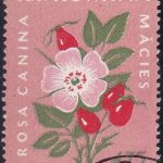 Butterflies of Hungary 1959