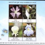 3. Wild Flowers of India