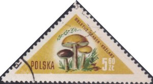 Mushrooms