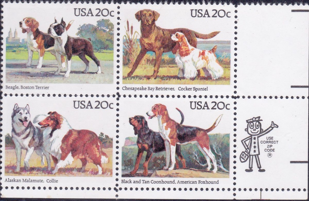 Dogs of USA 1984