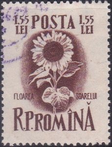 Agriculture