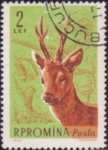Romania on Animal Hunters