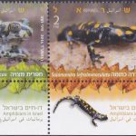 2. Amphibians in Israel [Israel Stamp 2014]