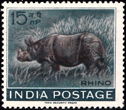 376 Indian Rhinoceros [India Stamp 1962]