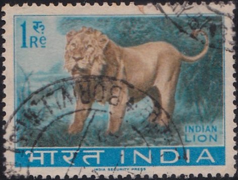 392 Indian Lion [India Stamp 1963]