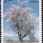 India on World Food Day 1981