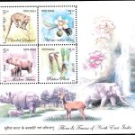 India on International Year of Physics 2005