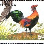 Rani Gaidinliu