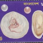 India on XVI International Cancer Congress 1994