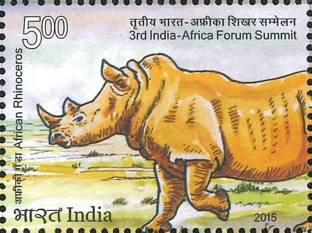 Black Rhinoceros