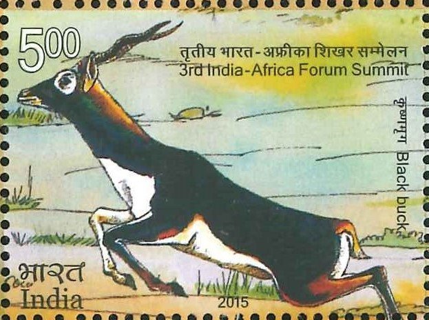 Indian Antelope