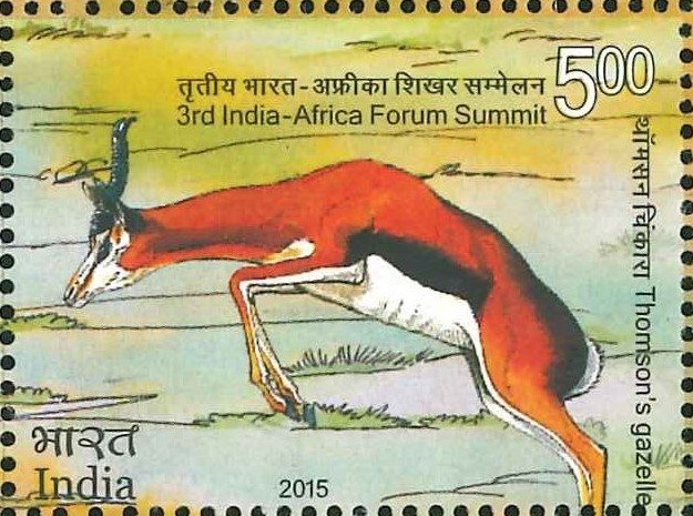 Tommie Gazelle