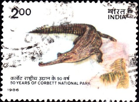 1058 Gharial - Corbett National Park [India Stamp 1986]