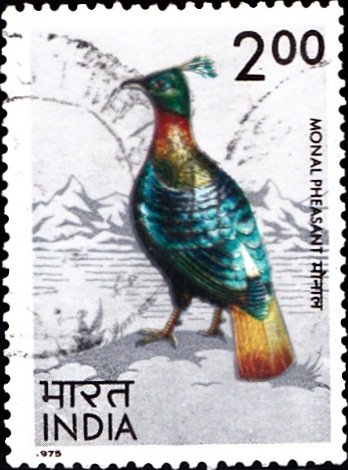 641 Monal Pheasant [Indian Bird] Stamp 1975