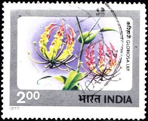 727 Gloriosa Lily [India Stamp 1977]