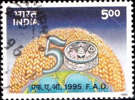 Food and Agriculture Organization of United Nations
