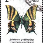 Nepal on International Hotel Association 1981