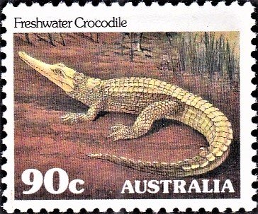 Freshwater crocodile
