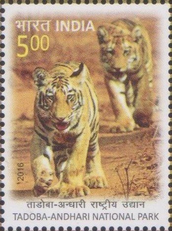 Tadoba National Park