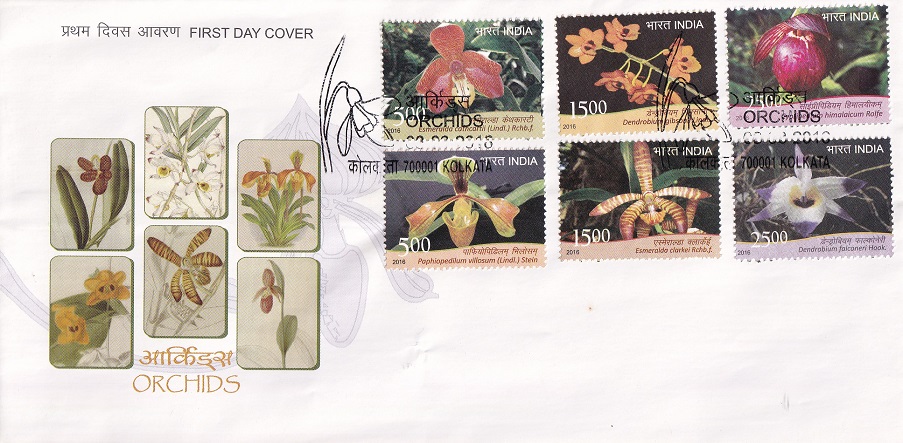 Orchids of India