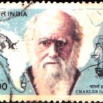 India on Karl Marx