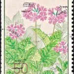 Nepalese Postal Service