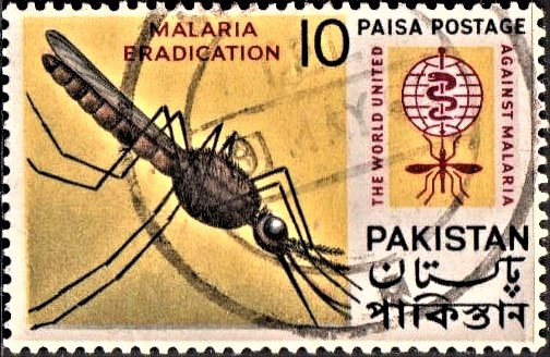 World Health Organization