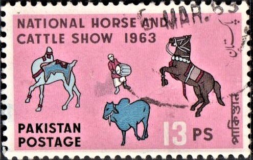 Pakistan National Horse and Cattle Show