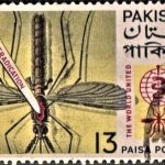 India on Malaria Eradication 1962