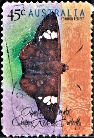Matapa aria