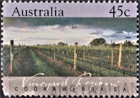 Honeysuckle : Cabernet Sauvignon wines