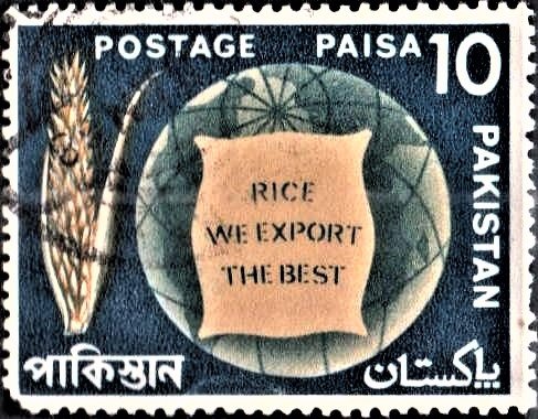 Rice Plant and Globe