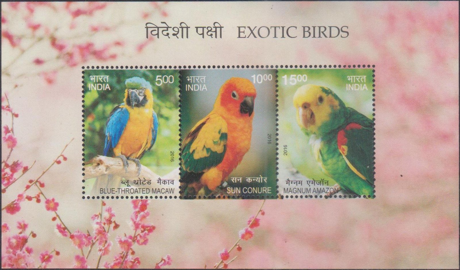 1. Exotic Birds [India Stamps Miniature Sheet 2016]