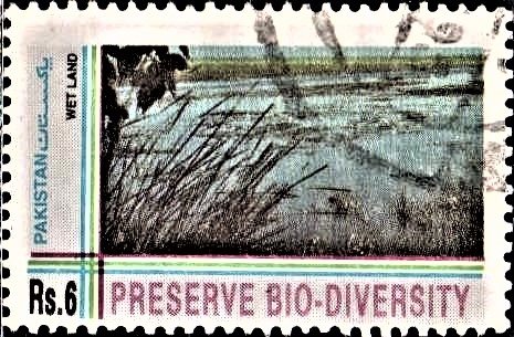Preserve Eco-Diversity