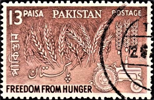 Wheat and Tractor