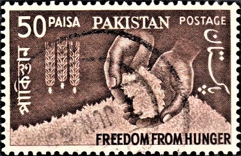 Freedom from Hunger (Pakistan)