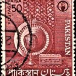 Indian Rhinoceros
